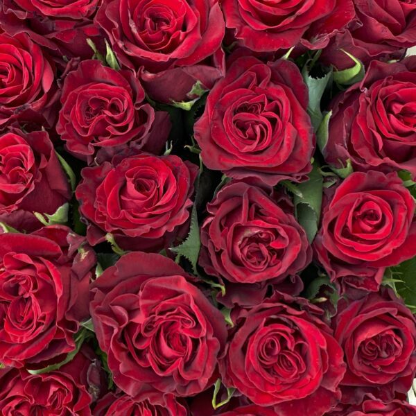 Con Amore - obrazek 3